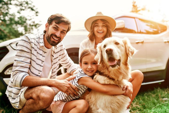 Illegal to leave your dog unattended